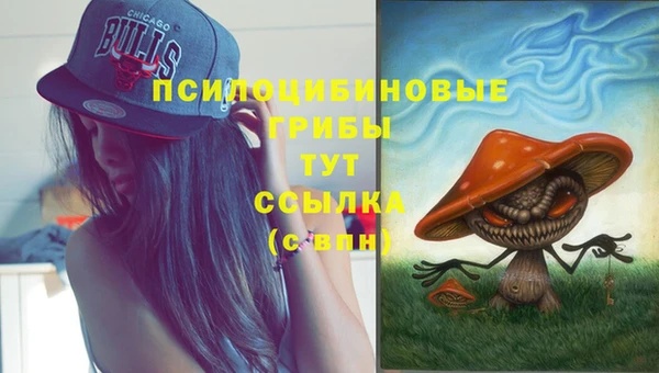 каннабис Алзамай