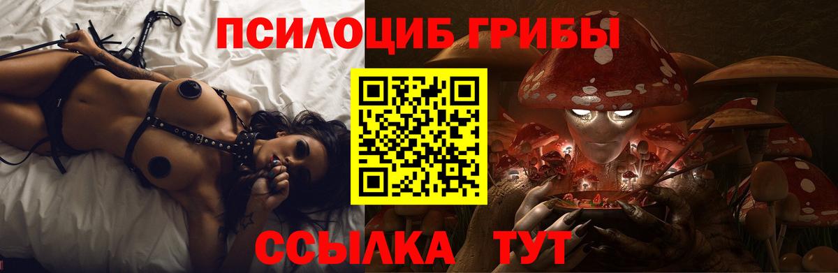 Тейково  Галлюциногенные грибы прущие грибы  Вход с VPN  Псилоцибиновые грибы мухоморы 